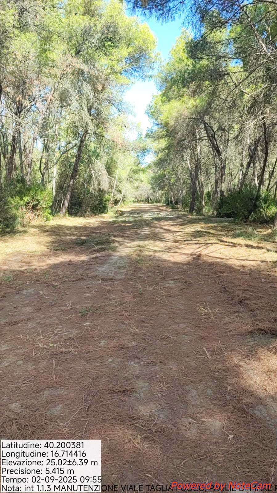 Galleria Fotografica Immagine