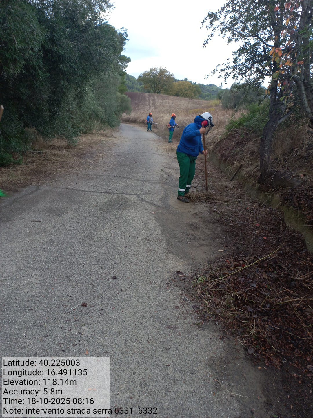 Galleria Fotografica Immagine