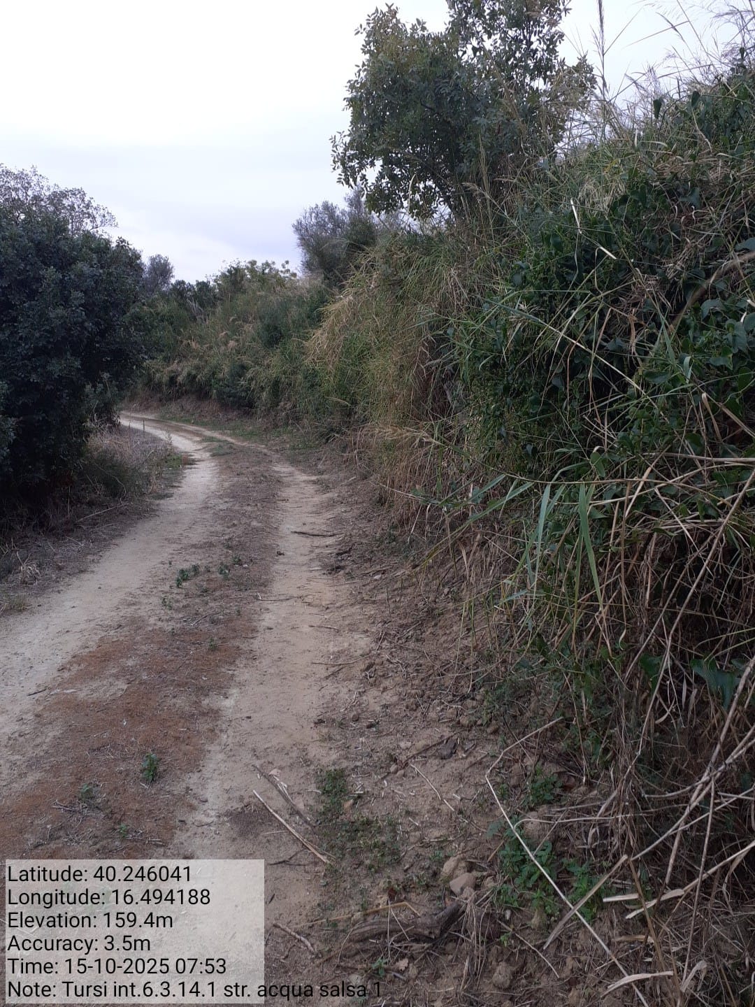 Galleria Fotografica Immagine