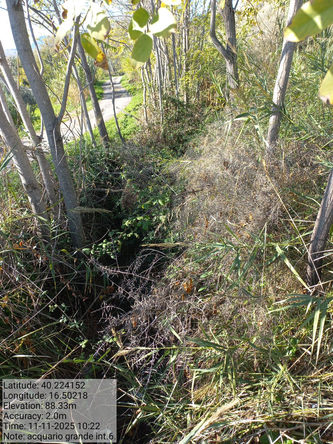 Galleria Fotografica Immagine