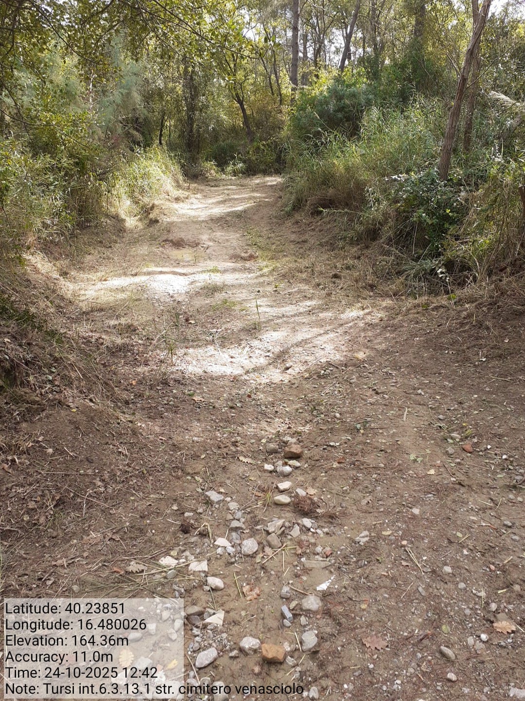 Galleria Fotografica Immagine