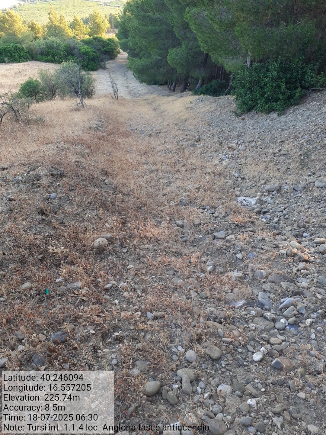 Galleria Fotografica Immagine