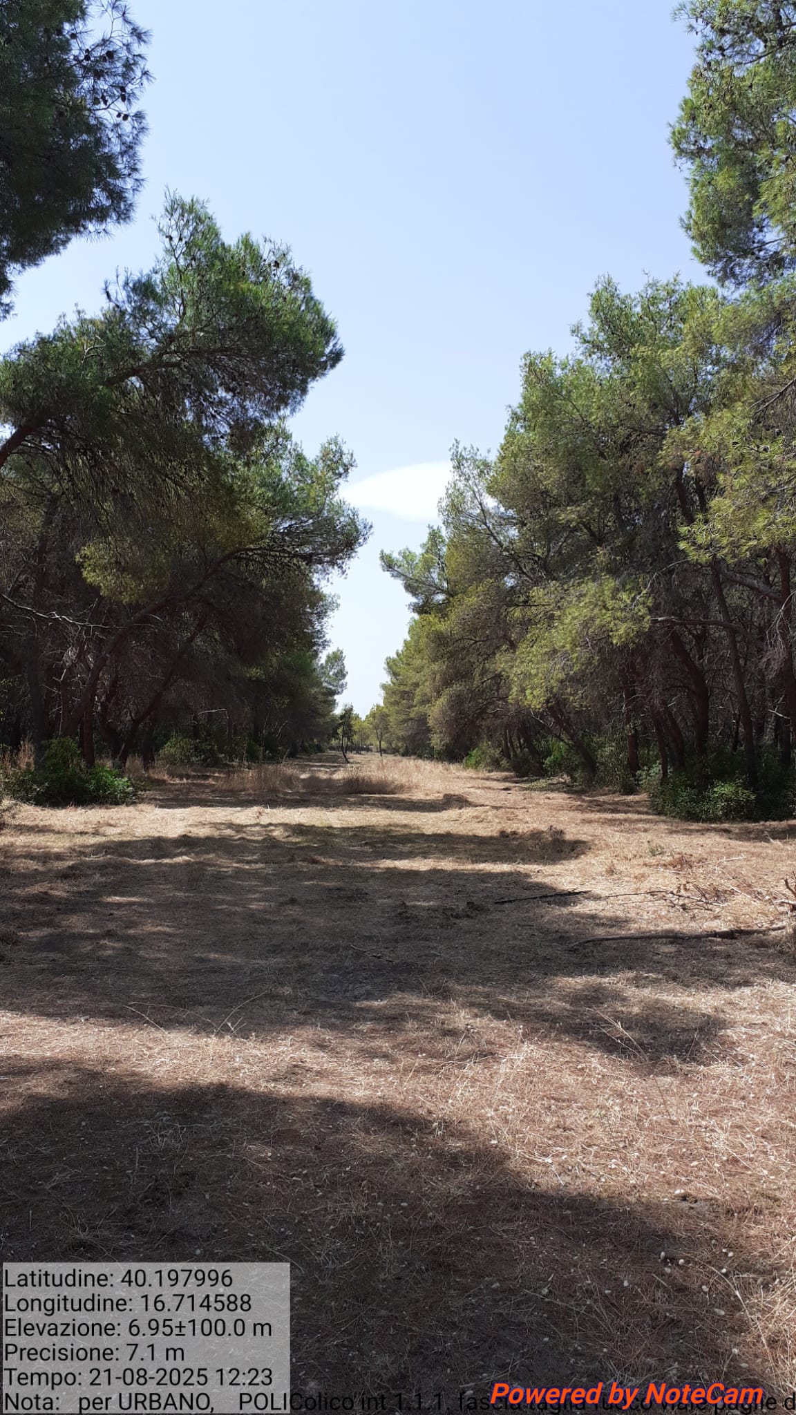 Galleria Fotografica Immagine