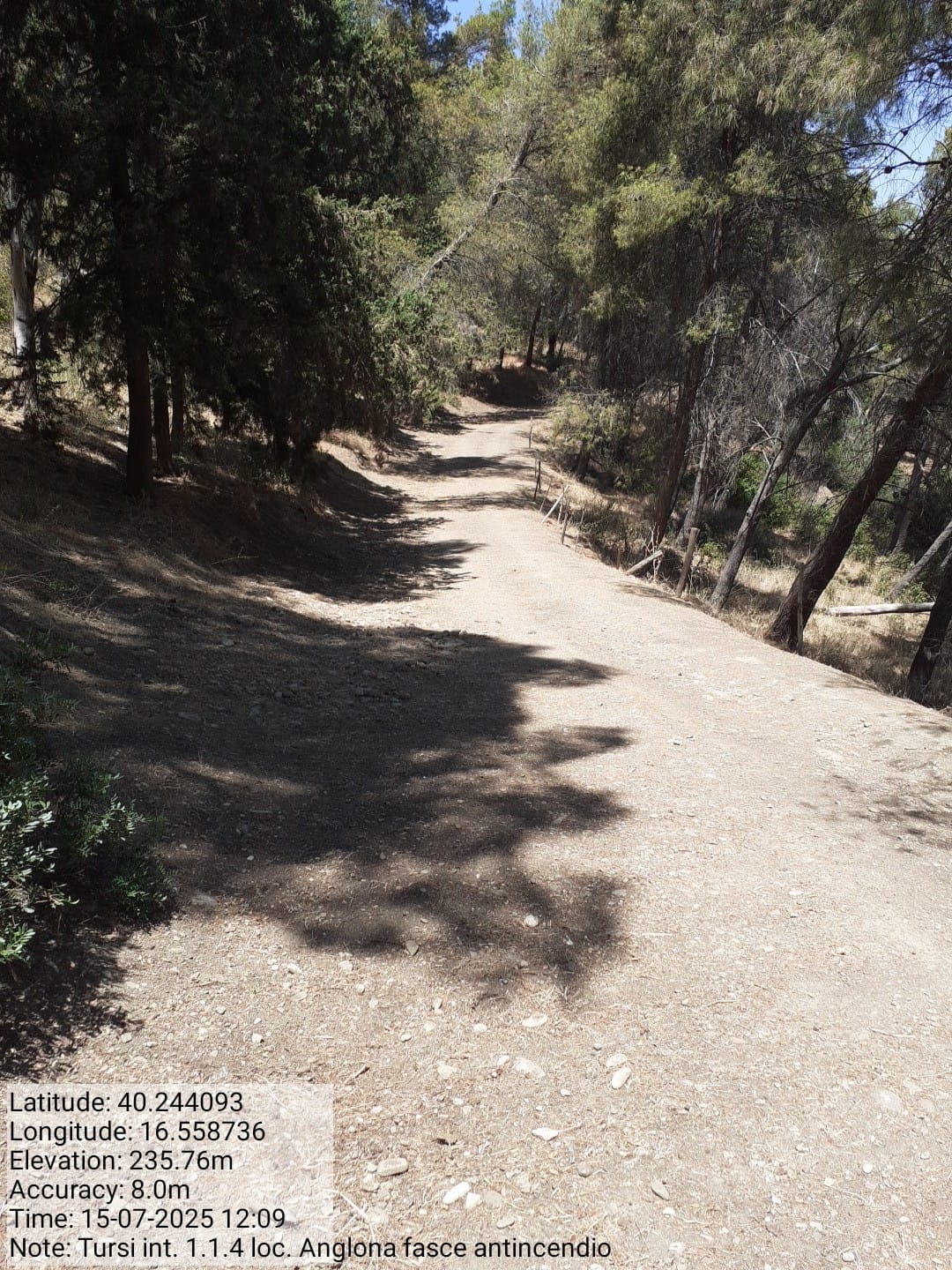 Galleria Fotografica Immagine