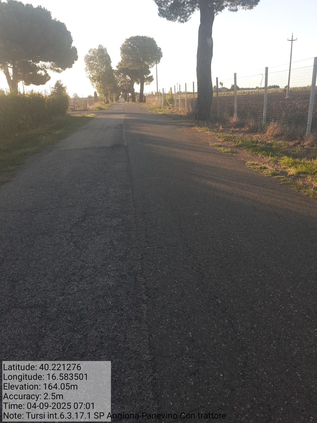 Galleria Fotografica Immagine