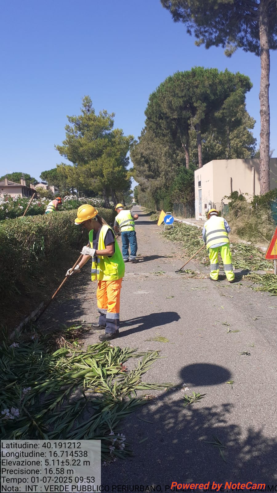 Galleria Fotografica Immagine