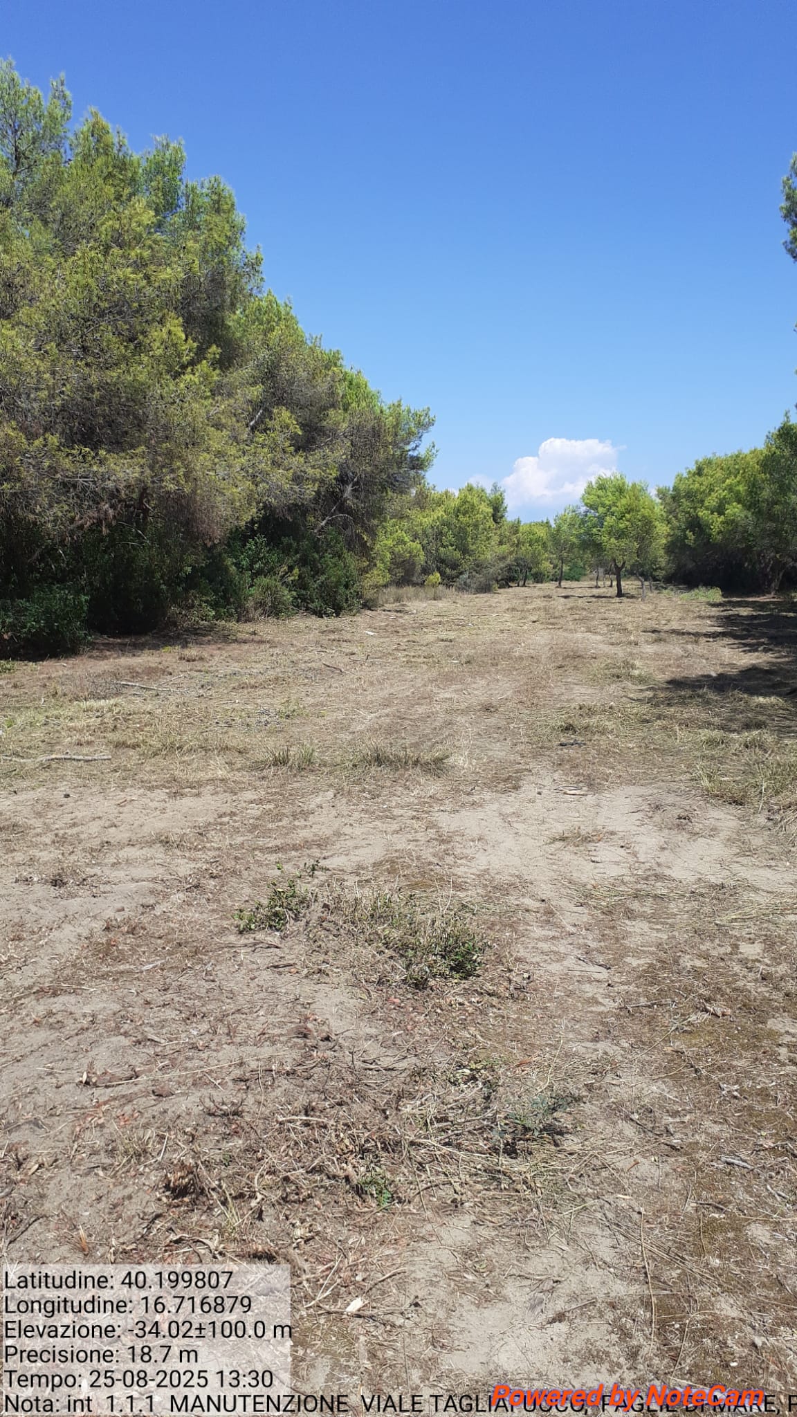 Galleria Fotografica Immagine