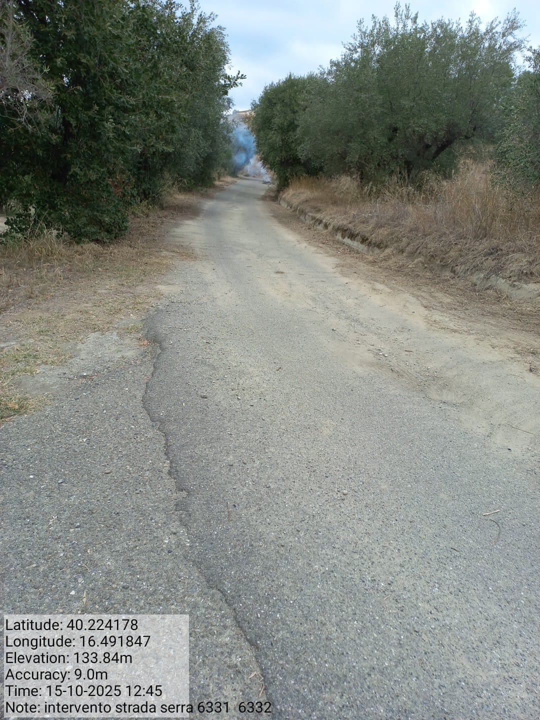 Galleria Fotografica Immagine