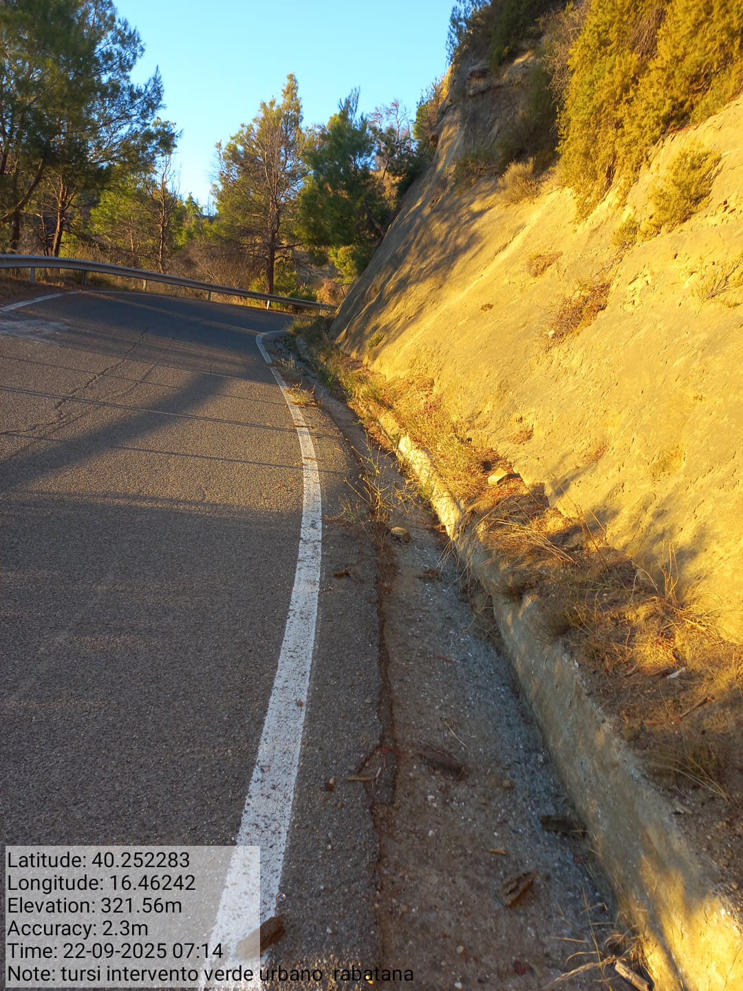 Galleria Fotografica Immagine