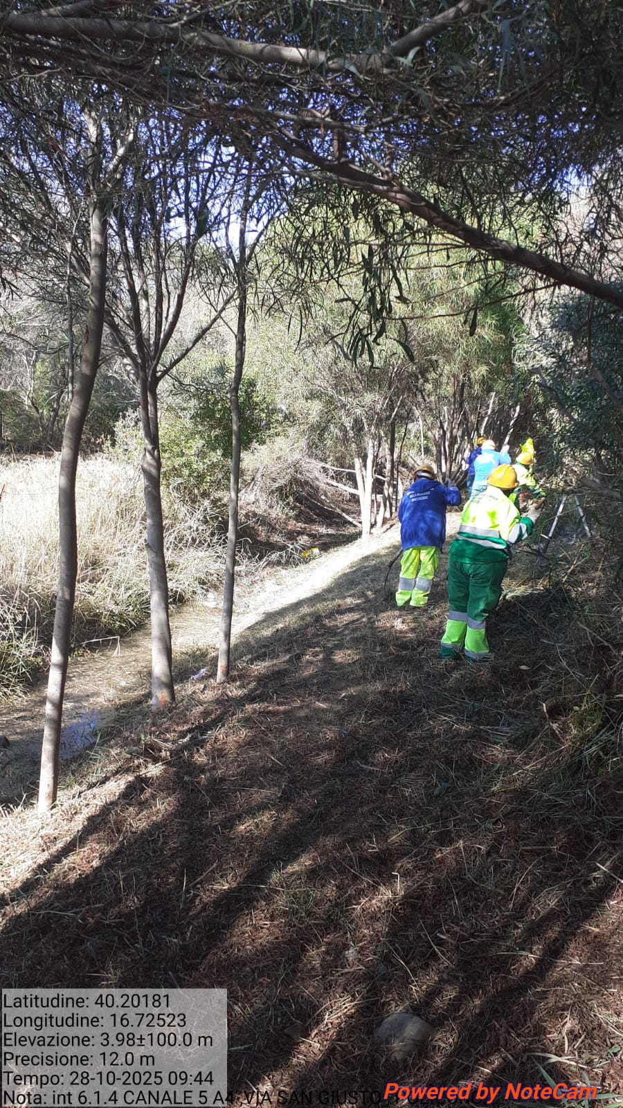 Galleria Fotografica Immagine