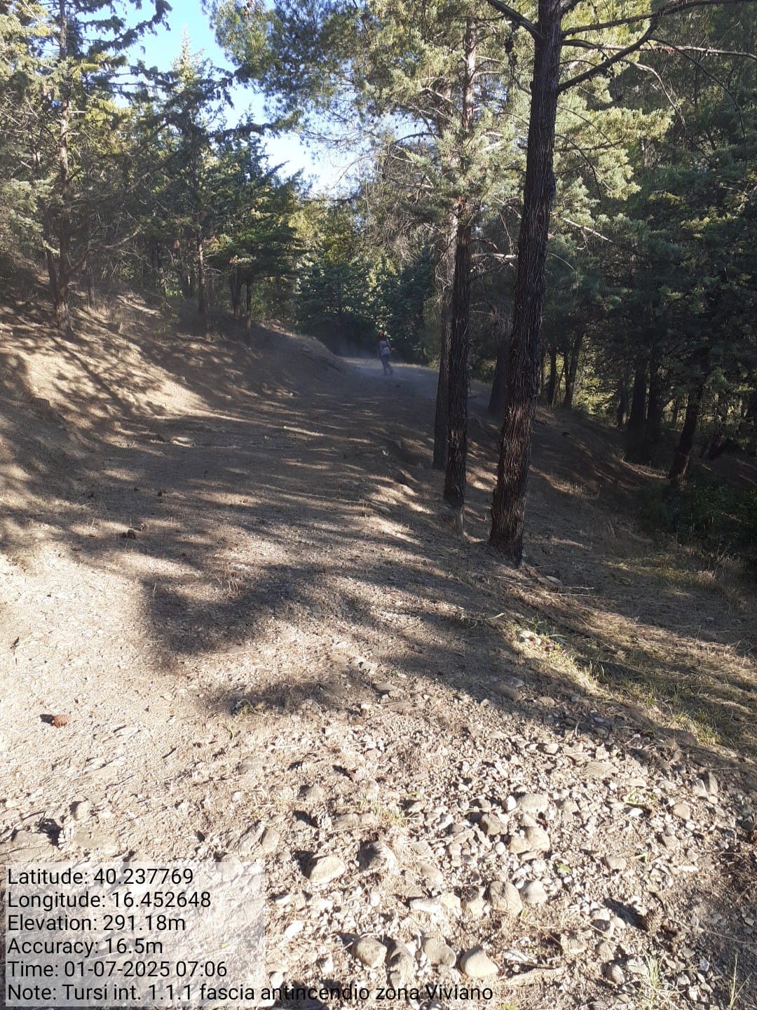 Galleria Fotografica Immagine