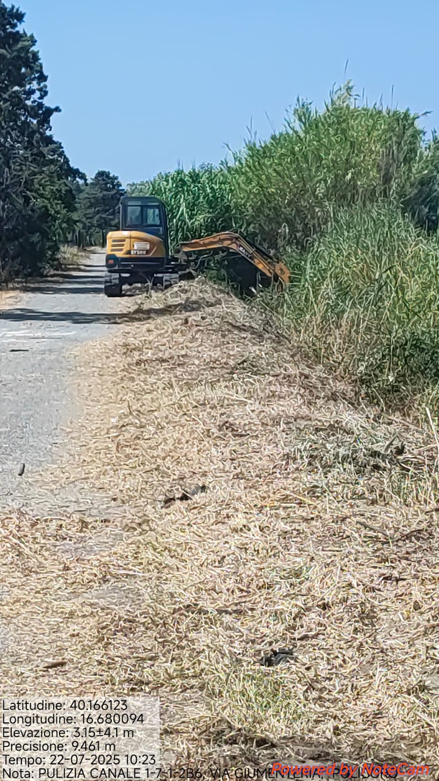 Galleria Fotografica Immagine