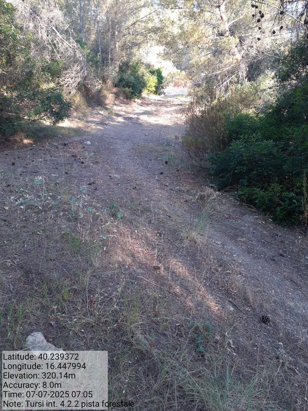 Galleria Fotografica Immagine