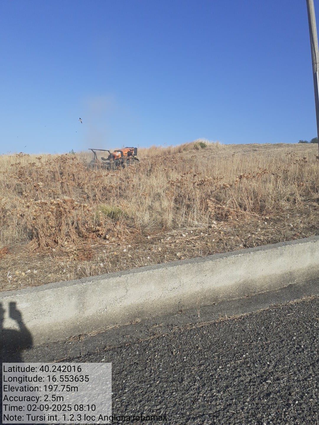 Galleria Fotografica Immagine