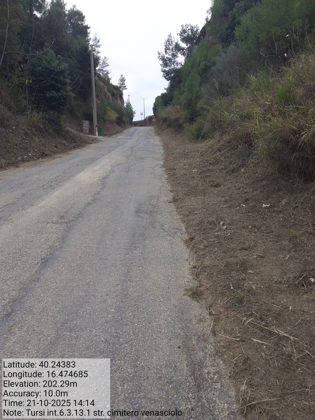 Galleria Fotografica Immagine