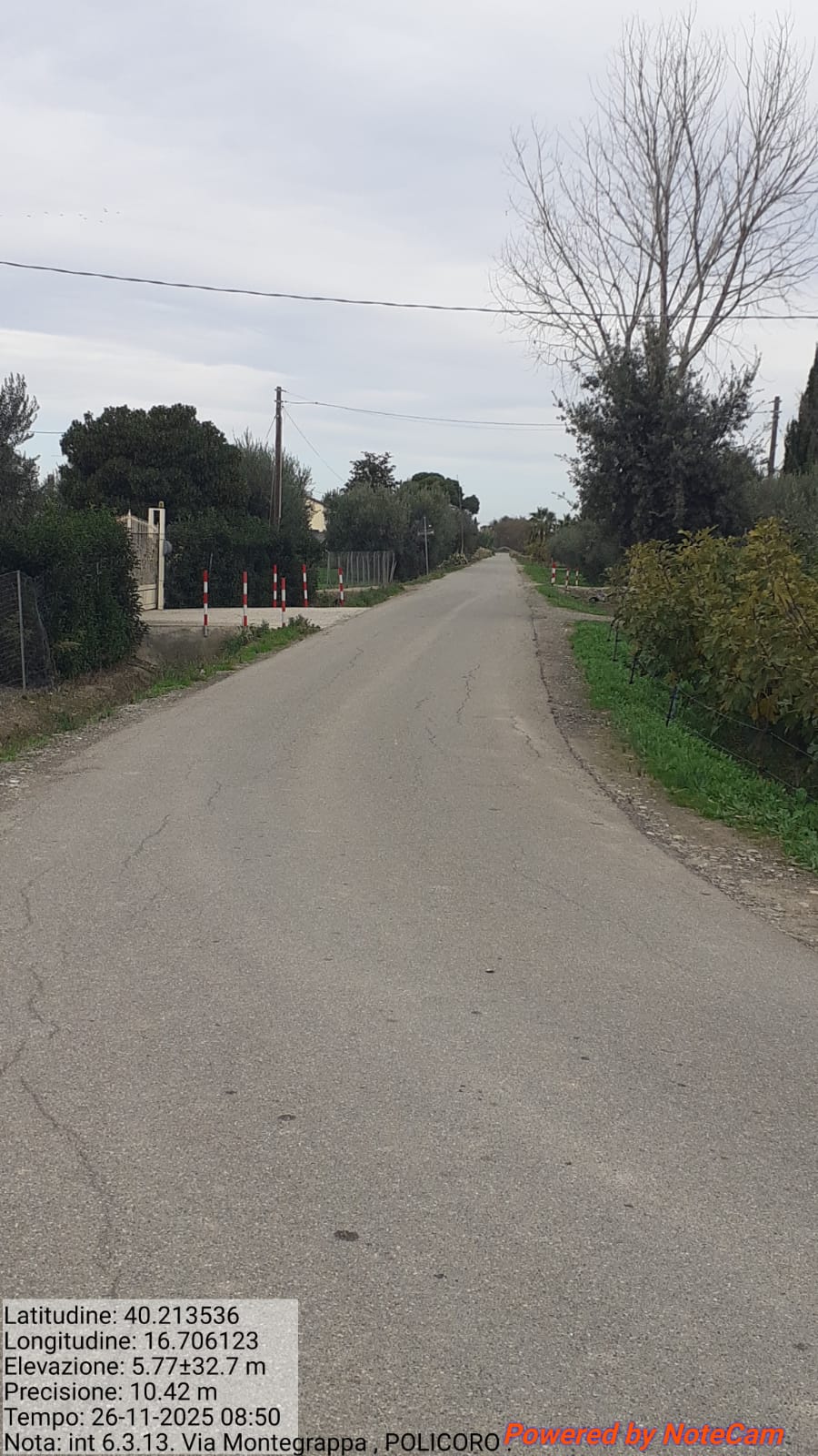 Galleria Fotografica Immagine