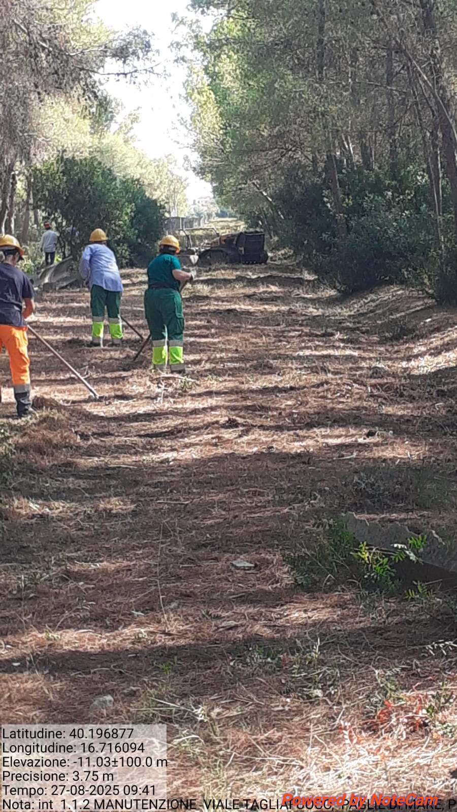 Galleria Fotografica Immagine