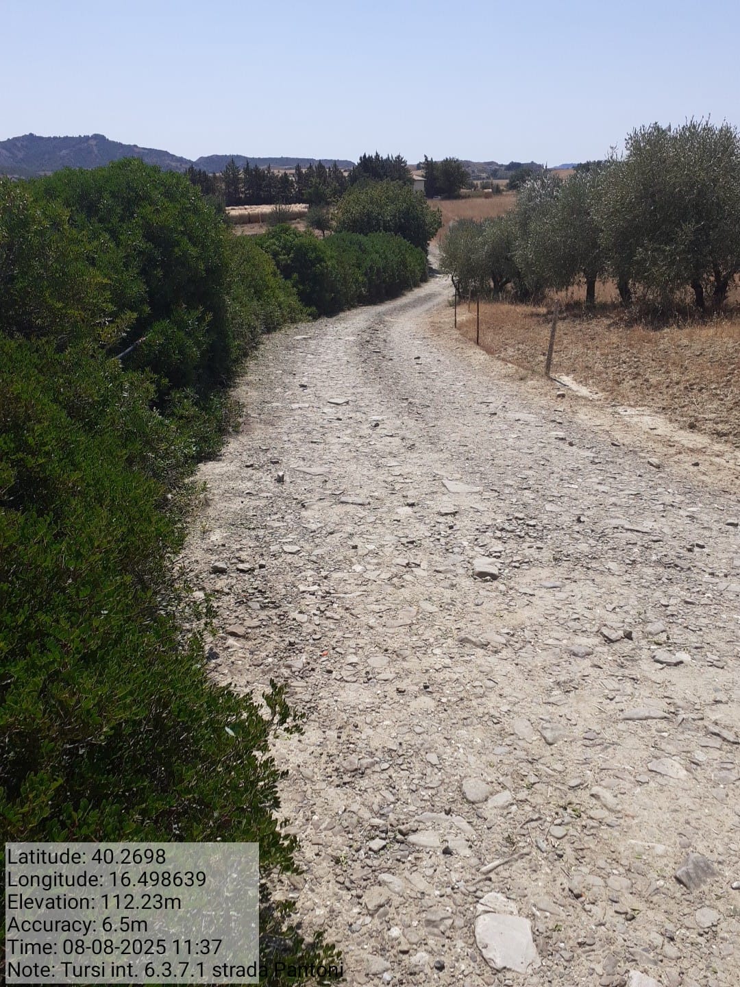 Galleria Fotografica Immagine