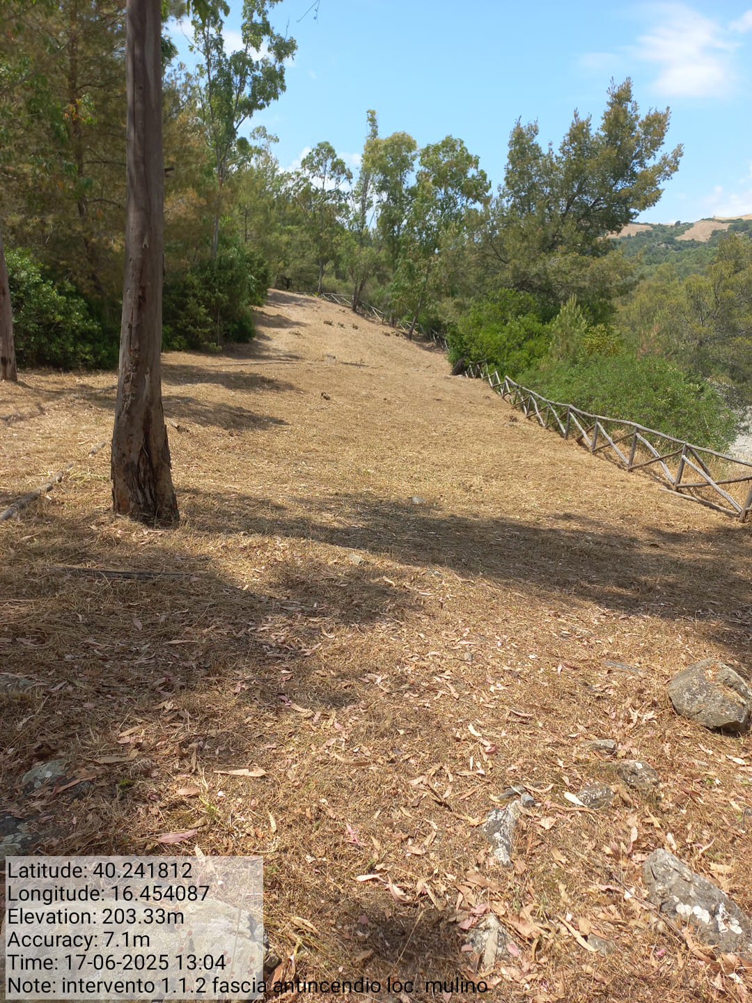 Galleria Fotografica Immagine