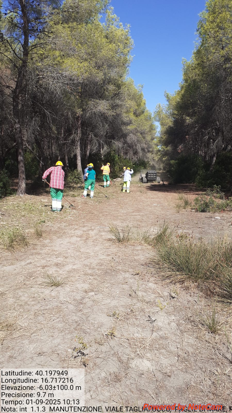 Galleria Fotografica Immagine