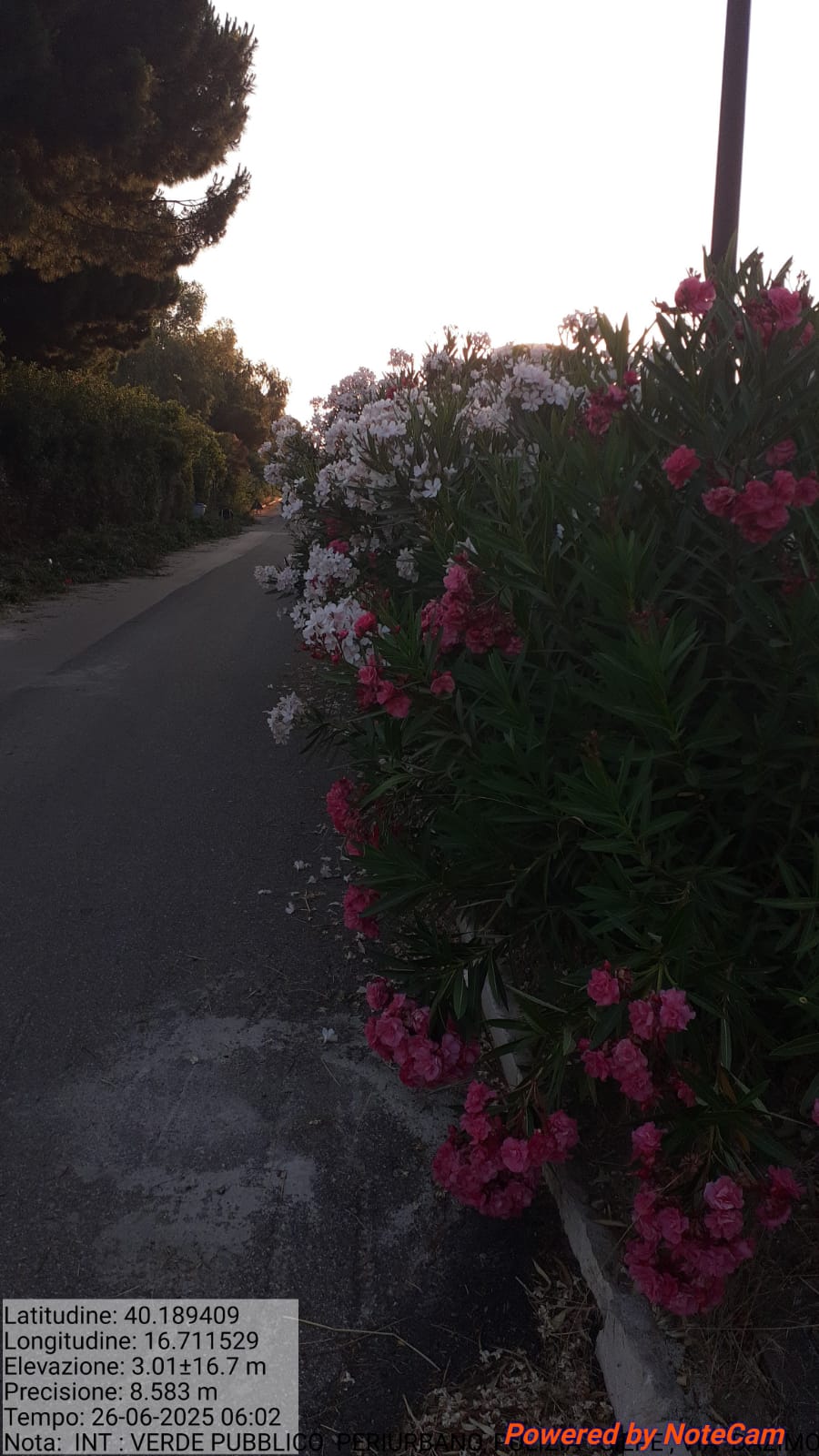 Galleria Fotografica Immagine