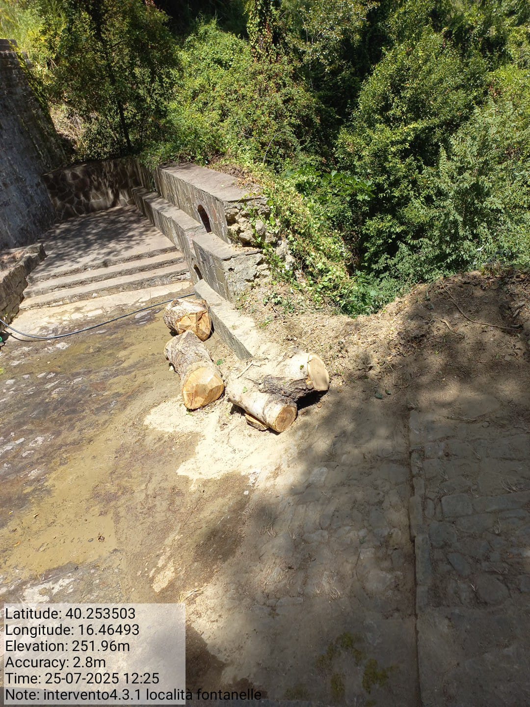 Galleria Fotografica Immagine