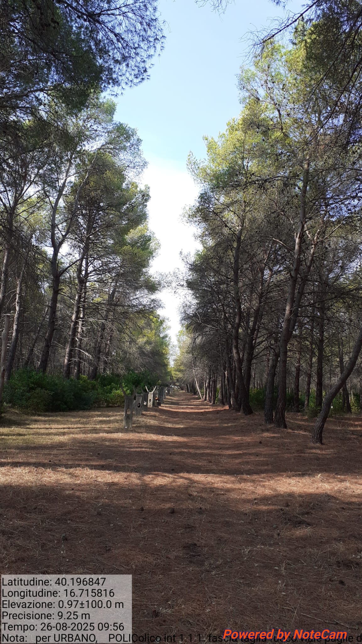 Galleria Fotografica Immagine