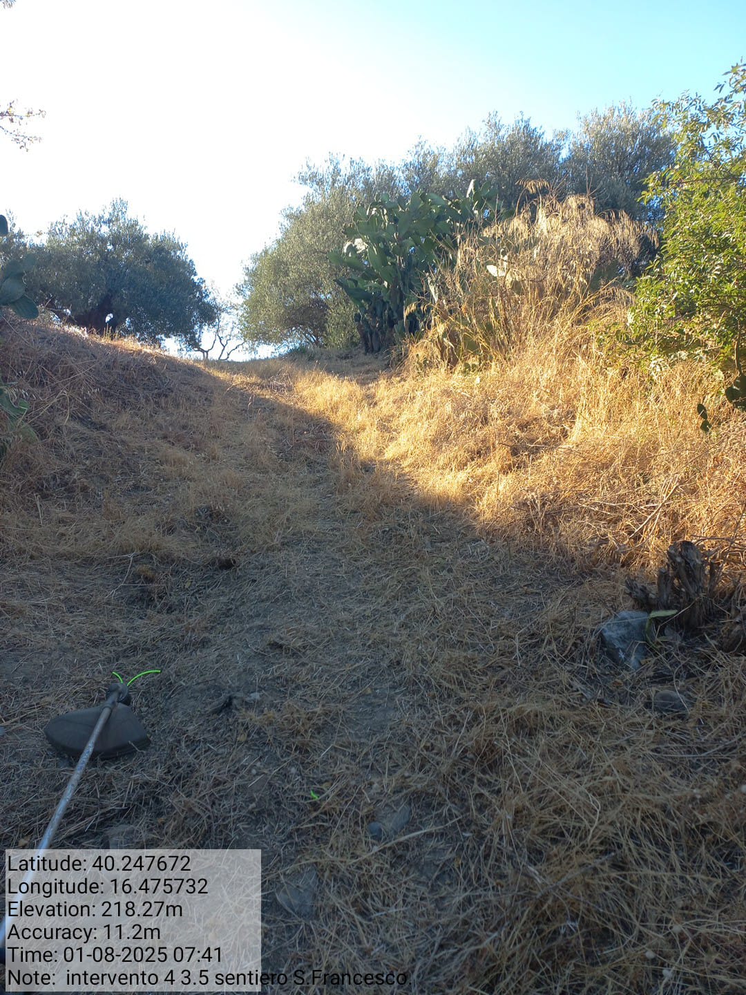 Galleria Fotografica Immagine