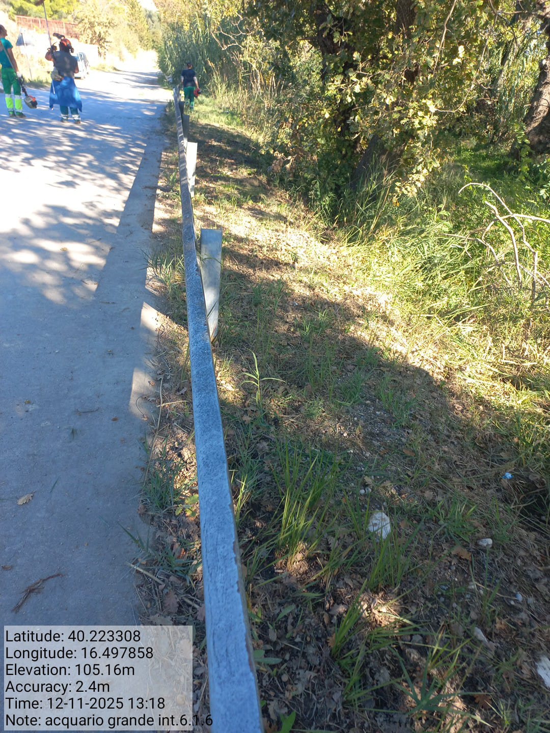 Galleria Fotografica Immagine