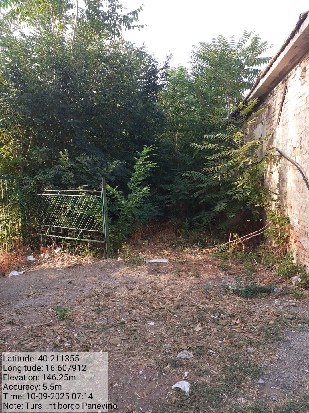 Galleria Fotografica Immagine