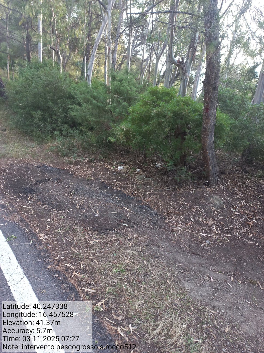 Galleria Fotografica Immagine