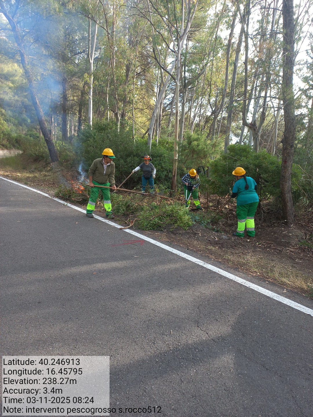 Galleria Fotografica Immagine