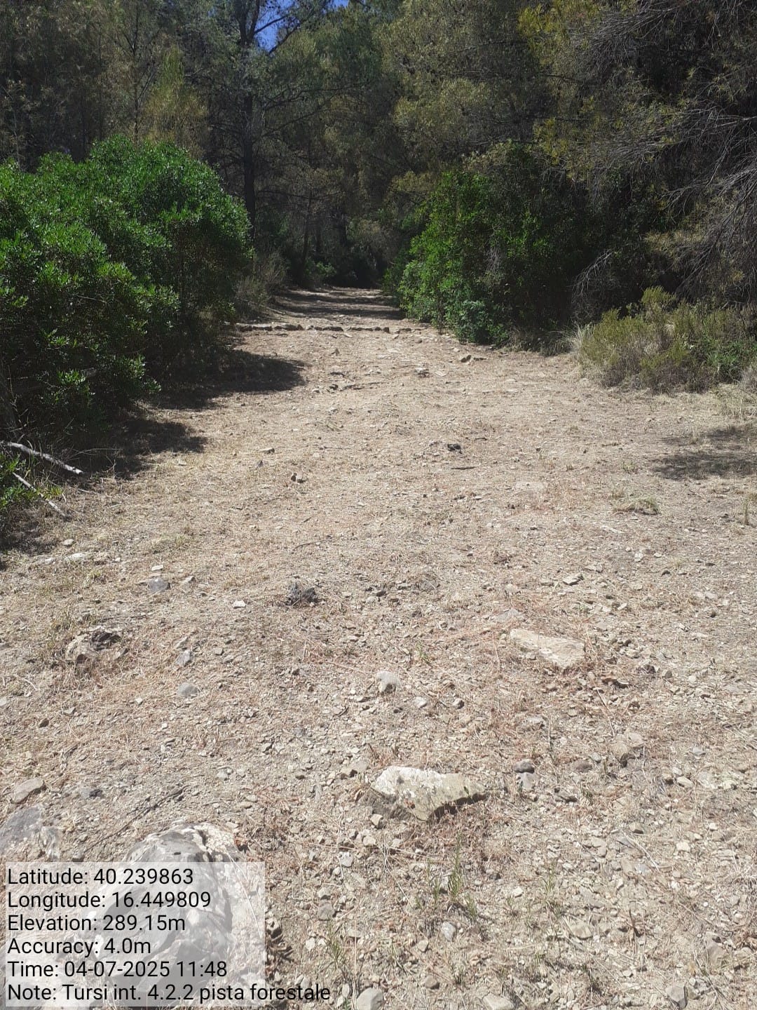 Galleria Fotografica Immagine