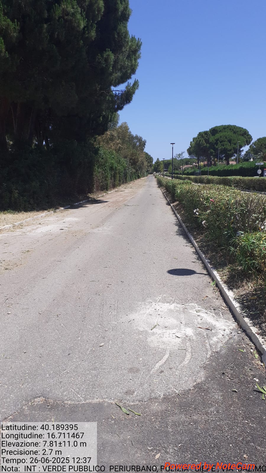 Galleria Fotografica Immagine