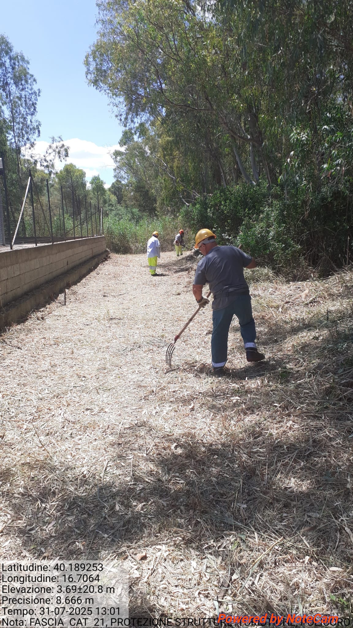 Galleria Fotografica Immagine