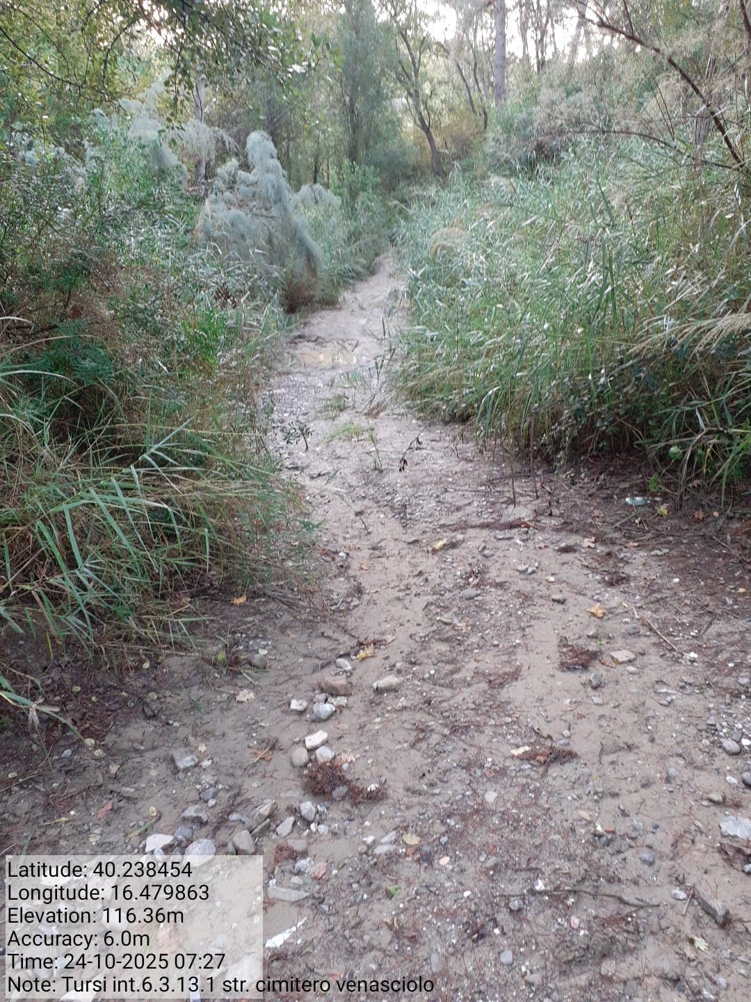 Galleria Fotografica Immagine