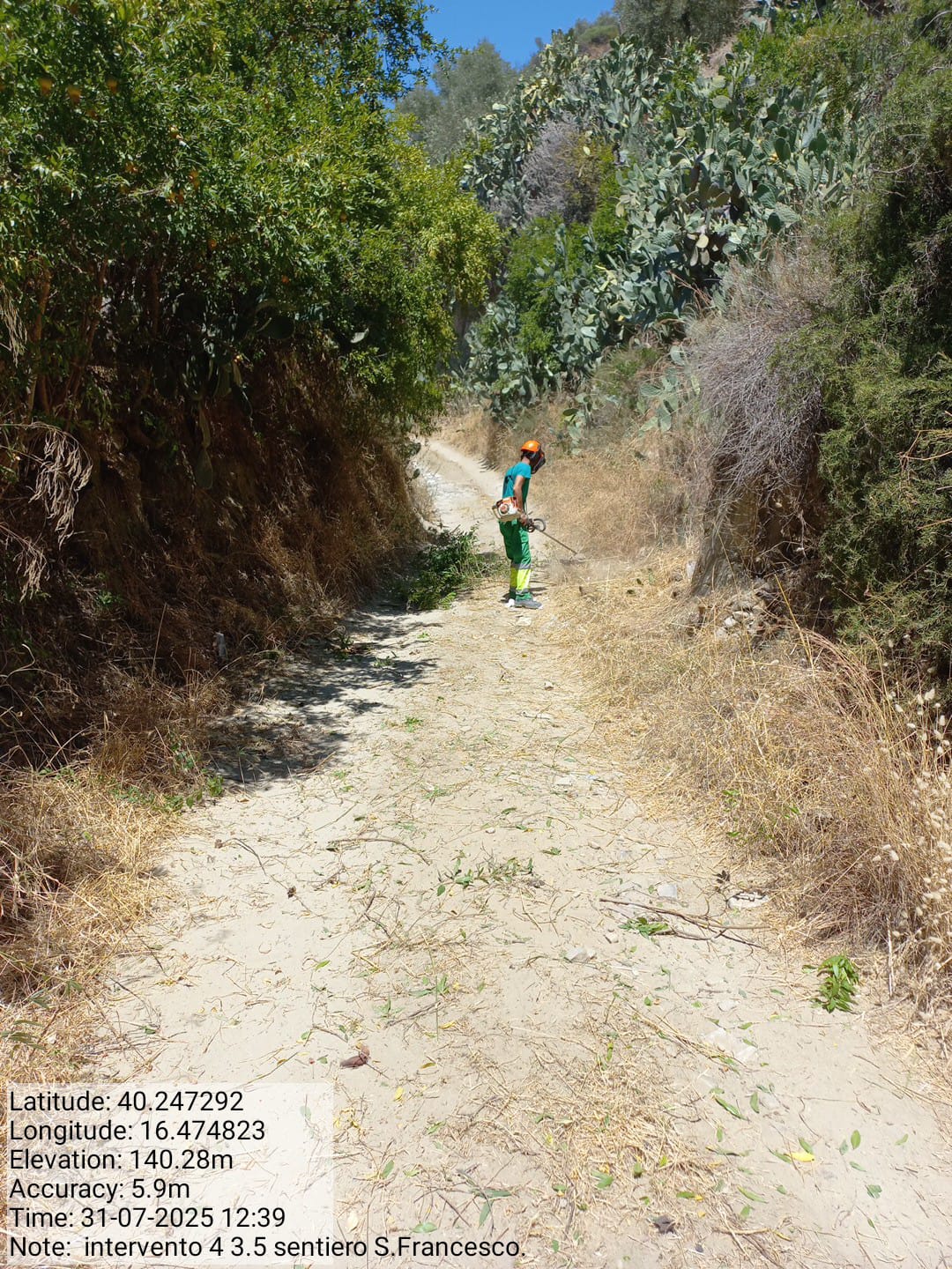 Galleria Fotografica Immagine