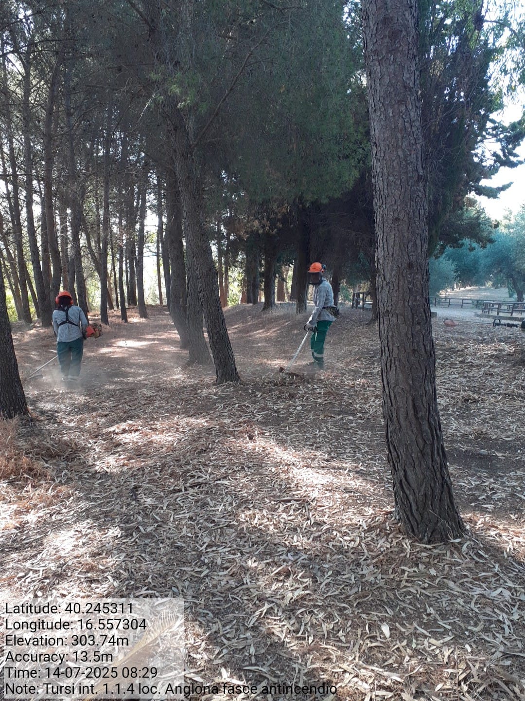 Galleria Fotografica Immagine