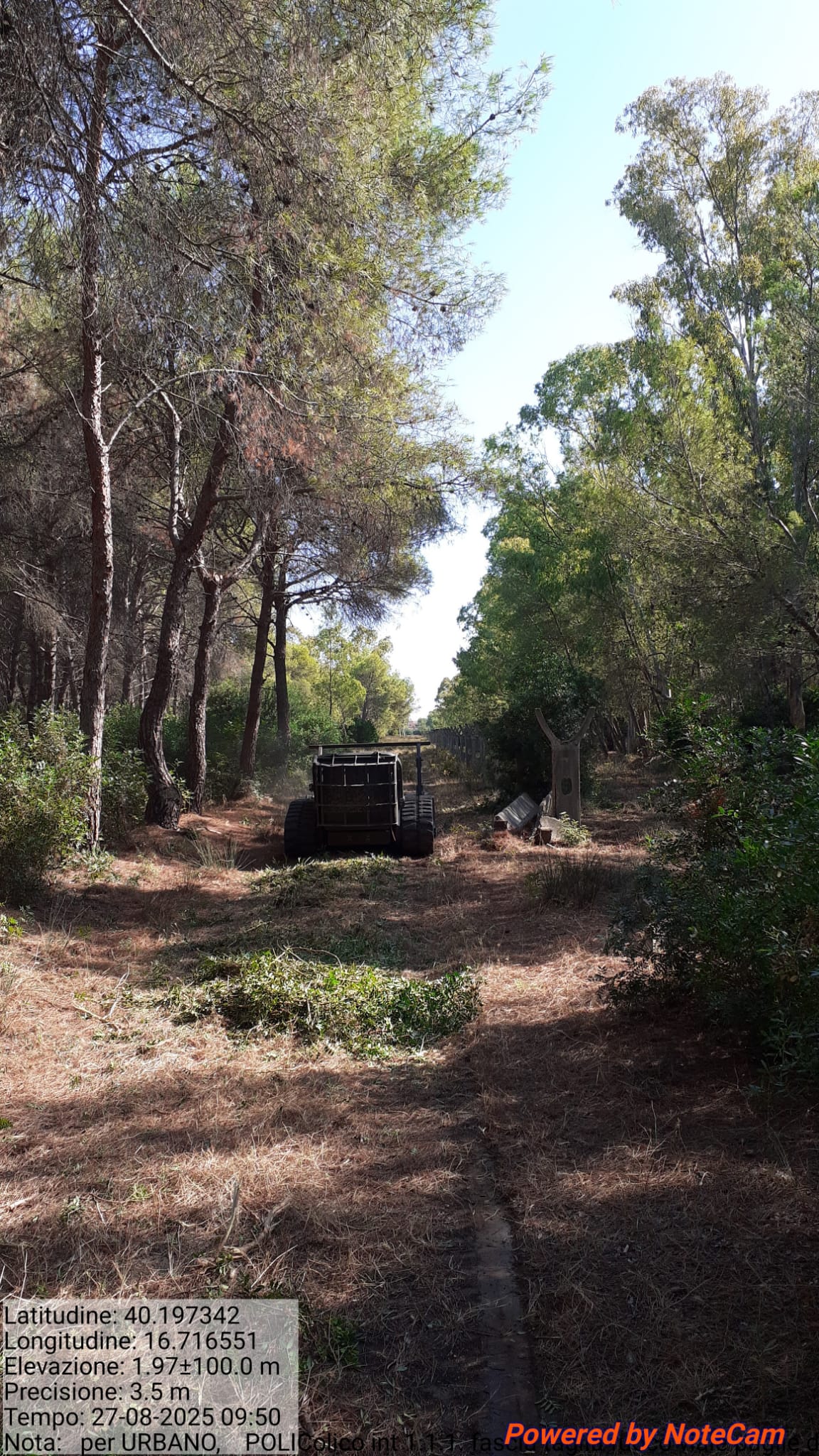 Galleria Fotografica Immagine