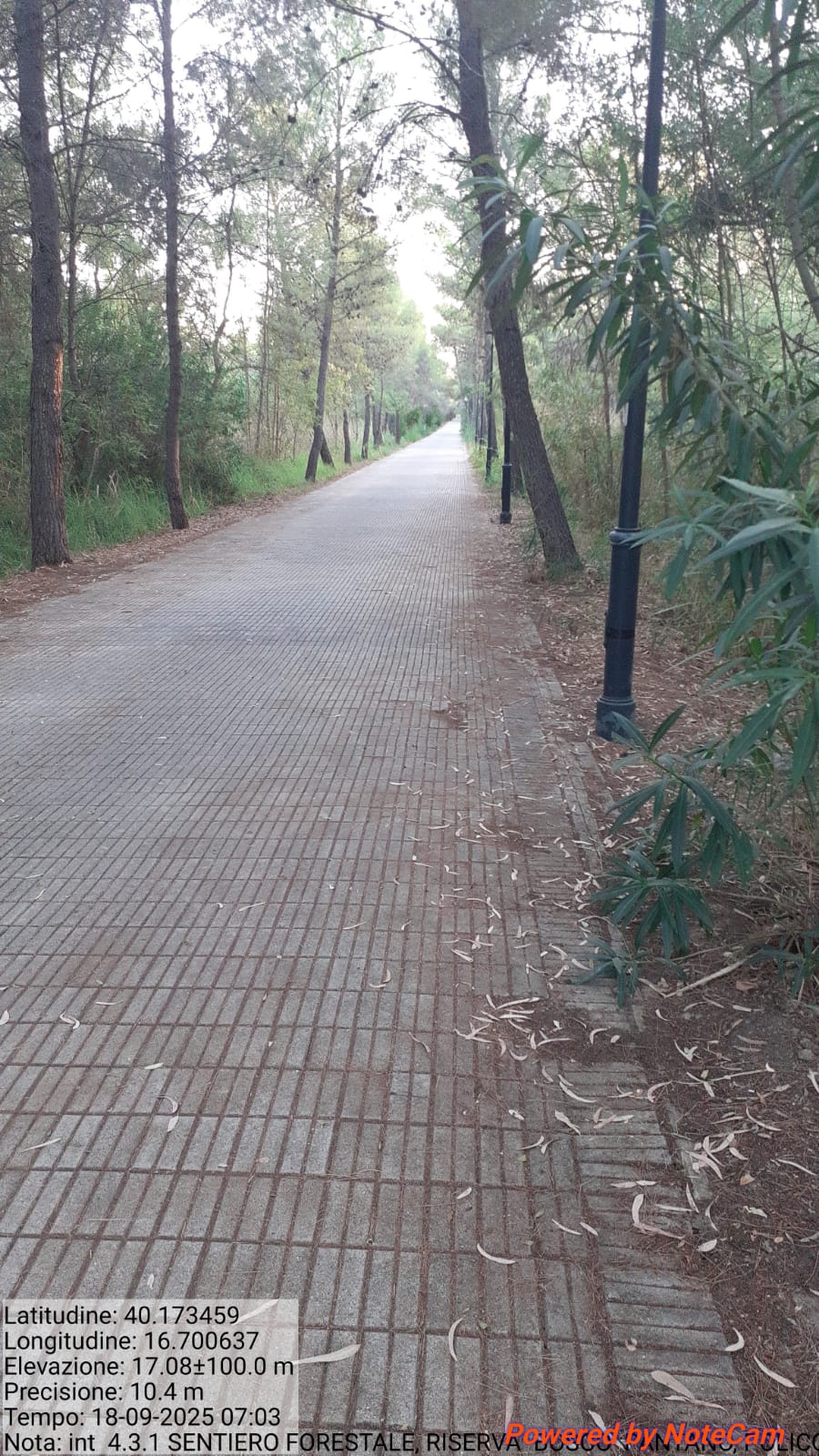 Galleria Fotografica Immagine