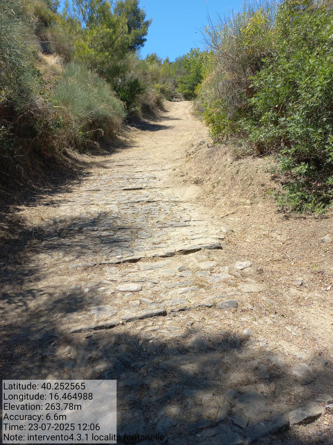 Galleria Fotografica Immagine