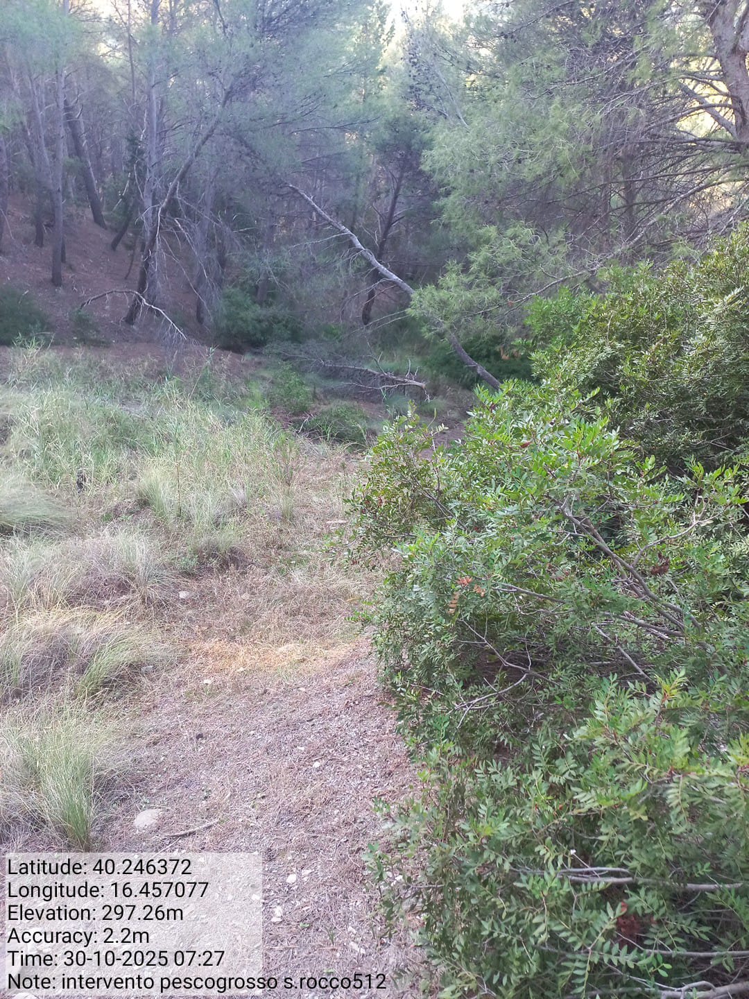 Galleria Fotografica Immagine