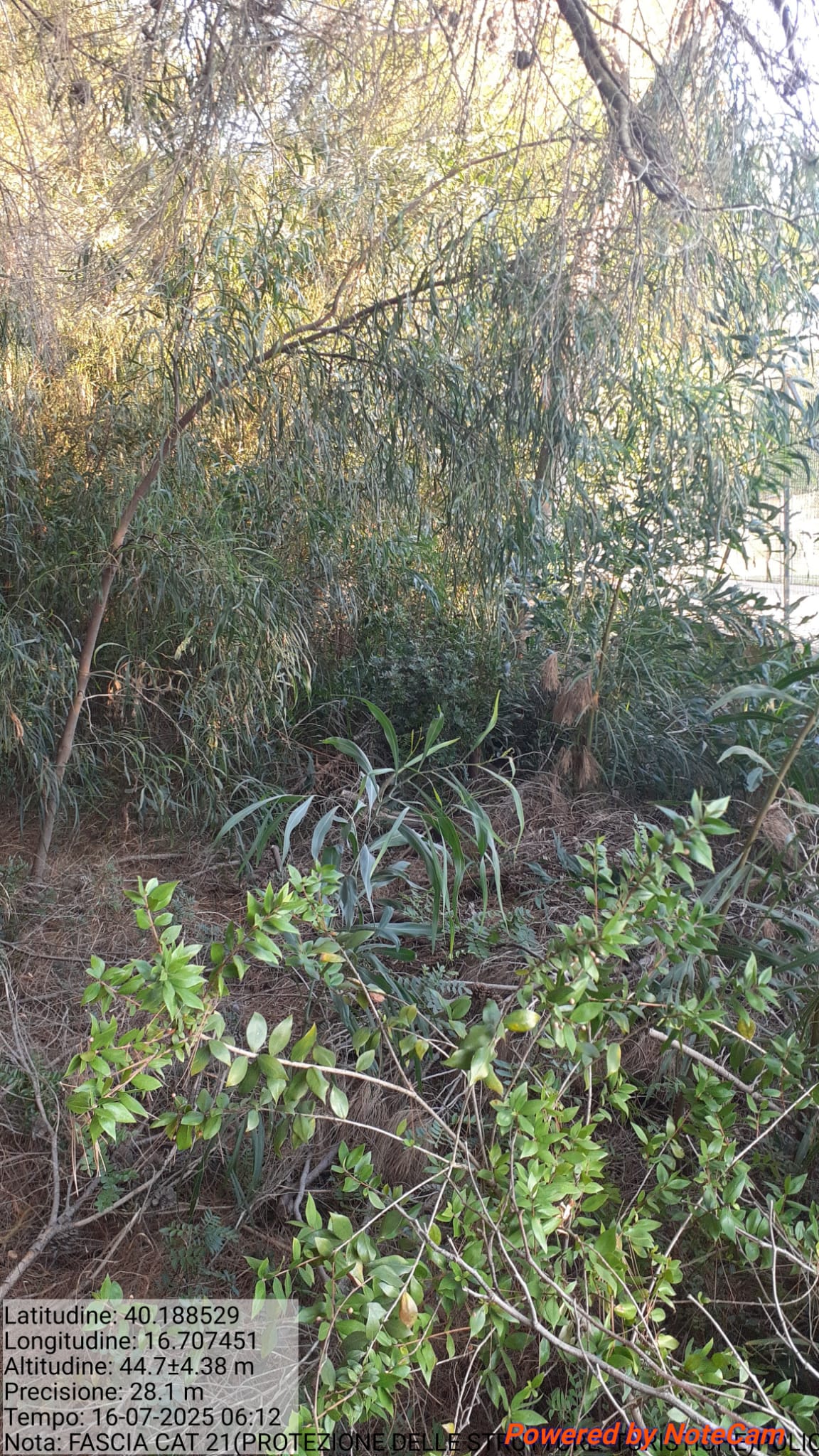 Galleria Fotografica Immagine