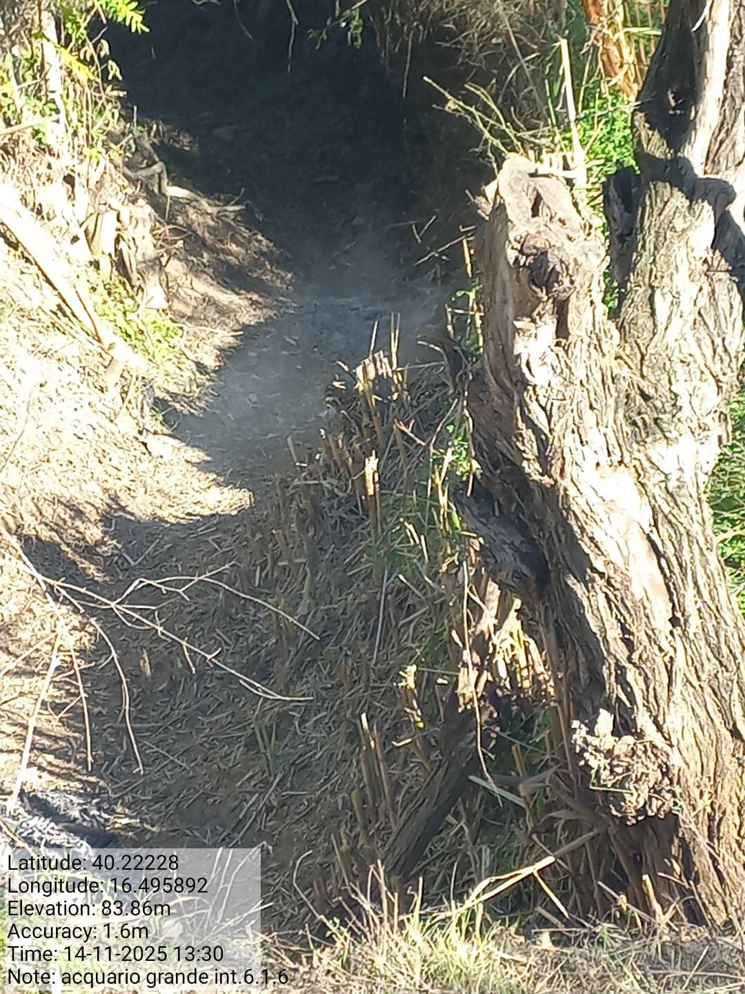 Galleria Fotografica Immagine