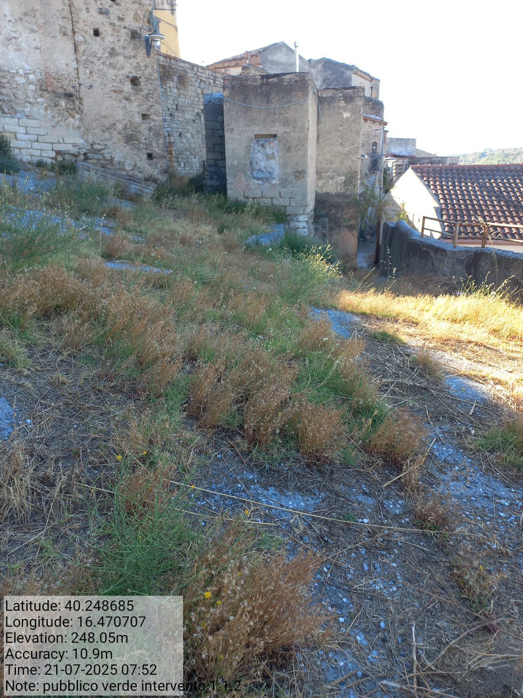 Galleria Fotografica Immagine