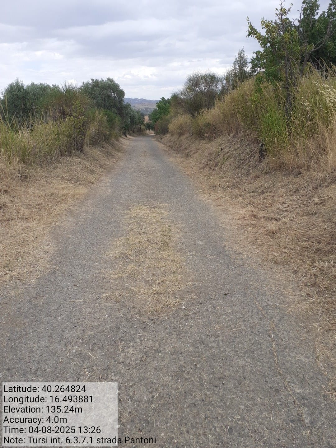 Galleria Fotografica Immagine