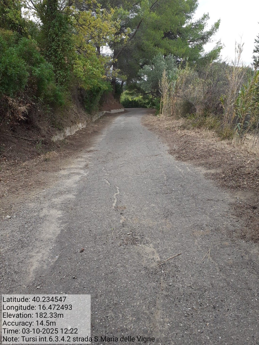 Galleria Fotografica Immagine