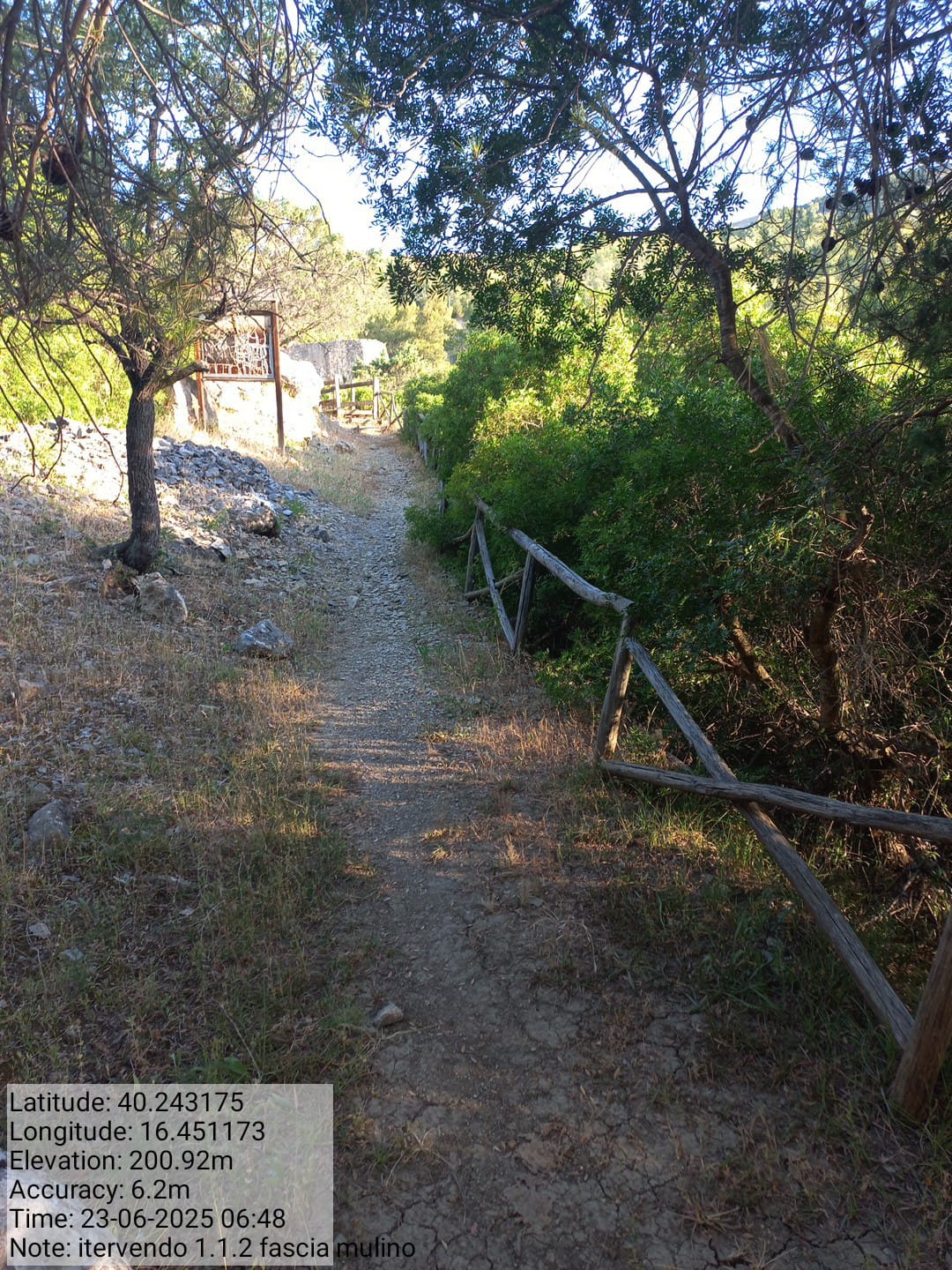 Galleria Fotografica Immagine