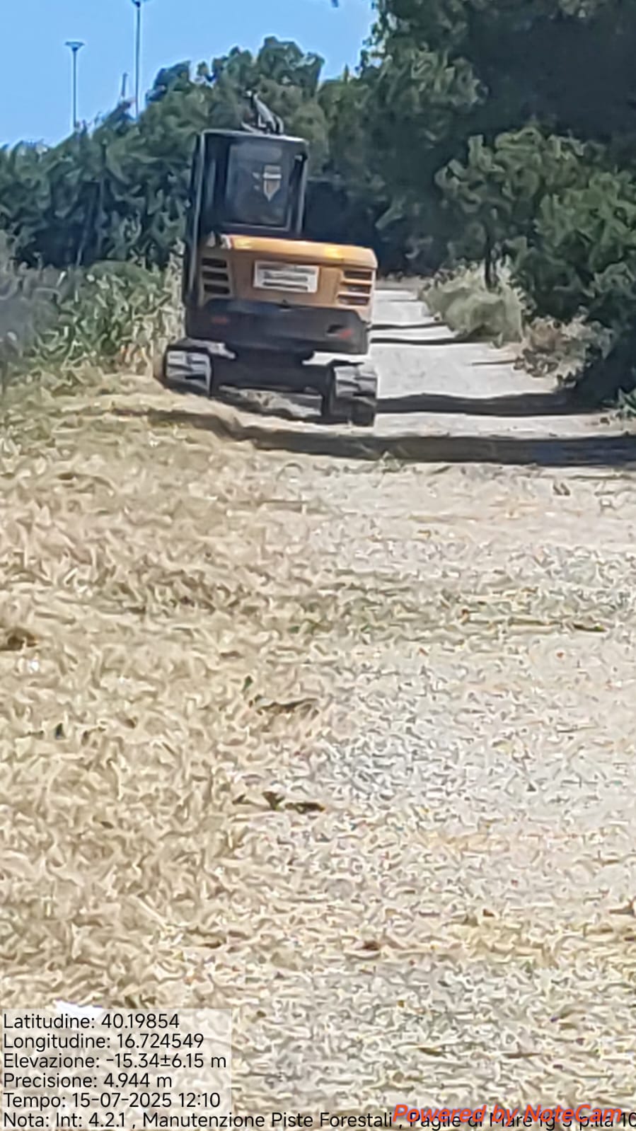 Galleria Fotografica Immagine