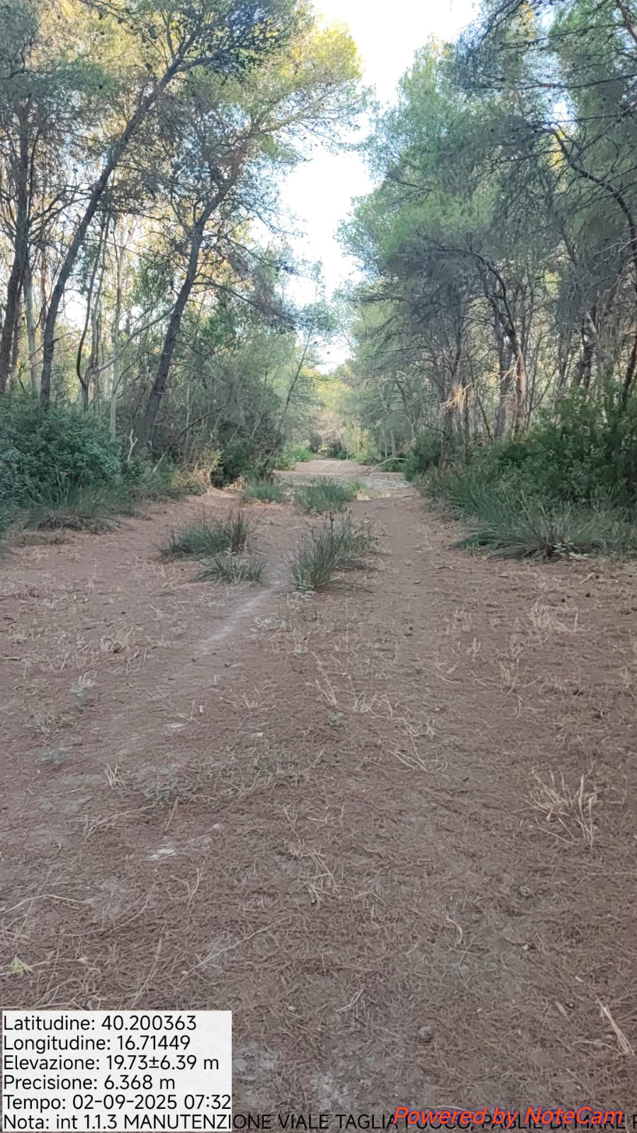 Galleria Fotografica Immagine